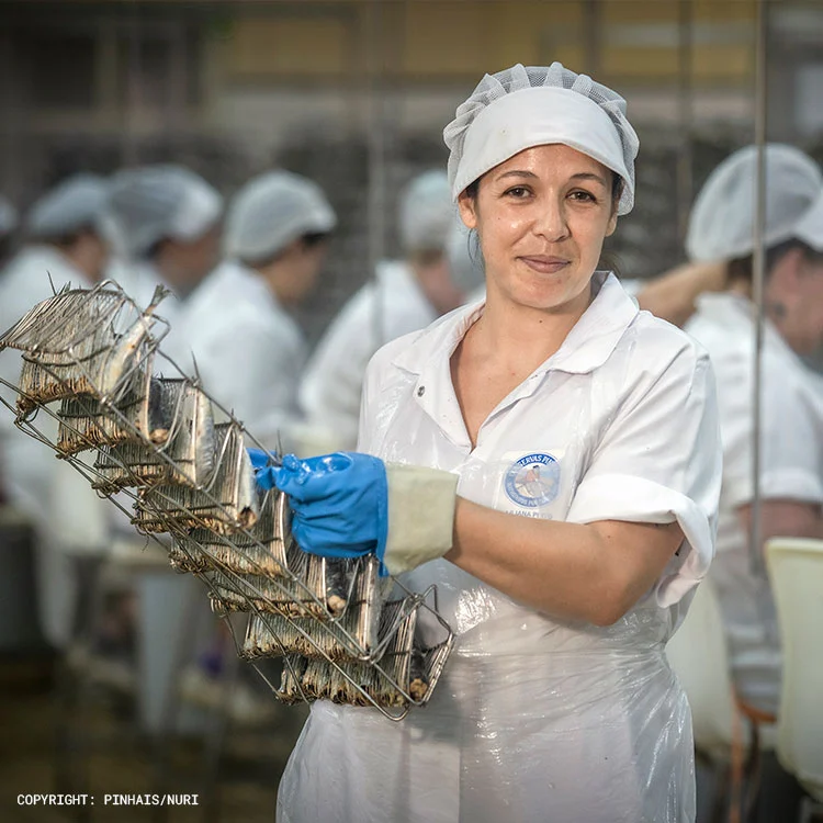 4er Geschenkset Sardinen – Bild 3